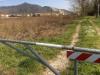 Terreno in vendita a Pisa - la vettola - 05