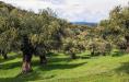 Terreno in vendita a San Giuliano Terme - asciano - 05