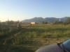 Terreno Agricolo in vendita a Cascina in via della libert - 02, Foto 2