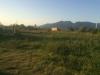 Terreno Agricolo in vendita a Cascina in via della libert - 03, Foto 3