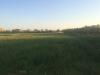 Terreno Agricolo in vendita a Cascina in via della libert - 04, Foto 4