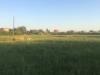 Terreno Agricolo in vendita a Cascina in via della libert - 05, Foto 5