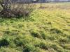 Terreno Agricolo in vendita a Cascina in via carlo ravera - 03, Foto 3