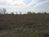 Terreno Agricolo in vendita a Pisa in via livornese - 02, Foto 2
