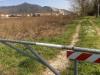 Terreno Agricolo in vendita a Pisa in via livornese - 04, Foto 4
