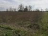 Terreno Agricolo in vendita a Pisa in via livornese - 06, Foto 6