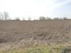 Terreno Agricolo in vendita a Pisa in via livornese - 07, Foto 7