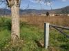 Terreno Agricolo in vendita a Pisa in via livornese - 08, Foto 8