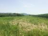 Terreno Agricolo in vendita a Vecchiano in via amedeo - 02, Foto 2