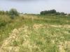 Terreno Agricolo in vendita a Vecchiano in via amedeo - 03, Foto 3