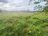 Terreno Agricolo in vendita a Cascina in via di mezzo sud 86 - 02, Foto 2