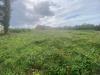Terreno Agricolo in vendita a Cascina in via di mezzo sud 86 - 03, Foto 3