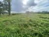 Terreno Agricolo in vendita a Cascina in via di mezzo sud 86 - 04, Foto 4