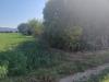 Terreno Agricolo in vendita a Vecchiano in via della bozza 1 - 02, Foto 2