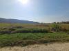 Terreno Agricolo in vendita a Vecchiano in via del capannone 1 - 06, Foto 6
