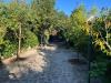 Casa indipendente in vendita con giardino a Pisa in lungarno gabriele d'annunzio 1 - 02, Foto 2