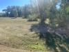 Terreno Agricolo in vendita a Vicopisano in via provinciale vicarese 2 10 - 02, Foto 2