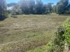 Terreno Agricolo in vendita a Vicopisano in via provinciale vicarese 2 10 - 05, Foto 5