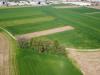 Terreno Agricolo in vendita a Pisa in via livornese 783 - 02, Foto 2