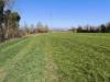 Terreno Agricolo in vendita a Pisa in via livornese 783 - 03, Foto 3