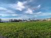 Terreno Agricolo in vendita a Pisa in via livornese 783 - 04, Foto 4