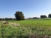 Terreno Agricolo in vendita a Pisa in via livornese 783 - 05, Foto 5