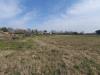 Terreno Agricolo in vendita a Pisa in via livornese 783 - 06, Foto 6