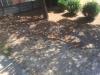 Attivit� commerciale in gestione con giardino a Cascina in via umberto terracini 22 - 09, Foto 10