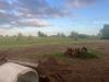 Terreno Agricolo in vendita a Cascina in via giulio guelfi 122 - 03, Foto 3