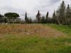 Terreno in vendita a Pontedera - il romito - 02