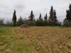 Terreno in vendita a Pontedera - il romito - 04