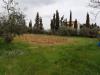 Terreno in vendita a Pontedera - il romito - 05