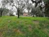 Terreno Edificabile in vendita a Pontedera in il romito - 03, Foto 3