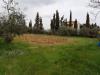 Terreno Edificabile in vendita a Pontedera in il romito - 05, Foto 5