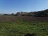 Terreno Agricolo in vendita a Bientina in via del puntone - 02, Foto 2