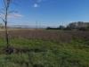 Terreno Agricolo in vendita a Bientina in via del puntone - 03, Foto 3