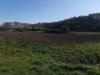 Terreno Agricolo in vendita a Bientina in via del puntone - 06, Foto 6