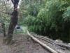 Casa indipendente in vendita con giardino a Buti in via di panicale 250 - 02, Foto 2
