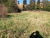 Terreno Edificabile in vendita a Pontedera in via fiorentina - 03, Foto 3