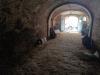 Magazzino in vendita da ristrutturare a Peccioli in via di carraia 93 - 04, Foto 4