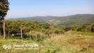 Terreno in vendita a Rosignano Marittimo - nibbiaia - 03