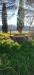 Appartamento in vendita con giardino a Fauglia in via scacciapolli 25 - 03, Foto 3