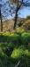Appartamento in vendita con giardino a Fauglia in via scacciapolli 25 - 07, Foto 7