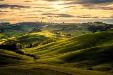 Terreno Agricolo in vendita a Fauglia in strada provinciale 31 cucigliana lorenzana 12 - 03, Foto 3