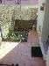 Appartamento in affitto con giardino a Livorno in corso giuseppe mazzini 181 - lungomare - 02, Foto 2