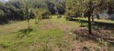Terreno Agricolo in vendita a Fauglia in via vallebbiaia 10 - 08, Foto 8