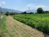 Terreno Agricolo in vendita a Pietrasanta in via del lago pietrasanta - 03, Foto 3