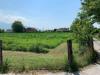 Terreno Agricolo in vendita a Pietrasanta in via del lago pietrasanta - 06, Foto 6