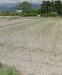 Terreno Agricolo in vendita a Camaiore in via fratelli rosselli - 06, Foto 6