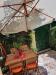 Appartamento bilocale in affitto con giardino a Viareggio in via dei lecci - 02, Foto 2